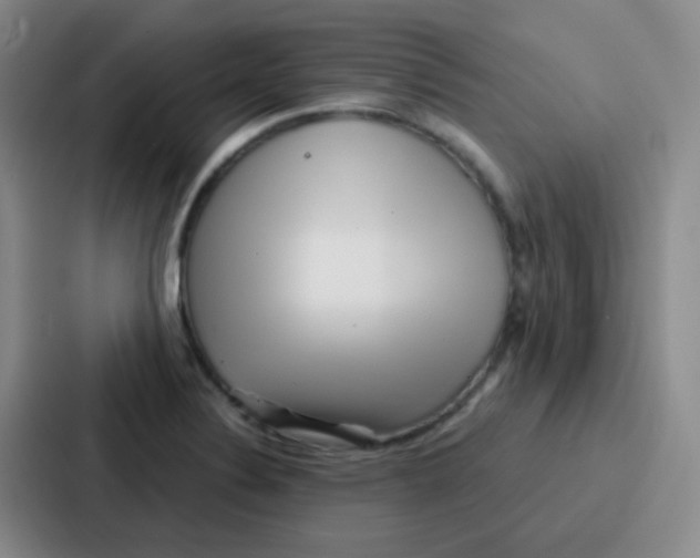 X0000086931324200705141734