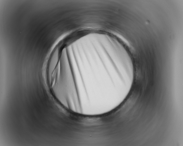 X0000086931325200705141734