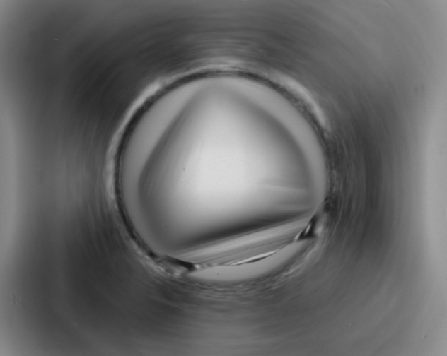 X0000086931326200705141734