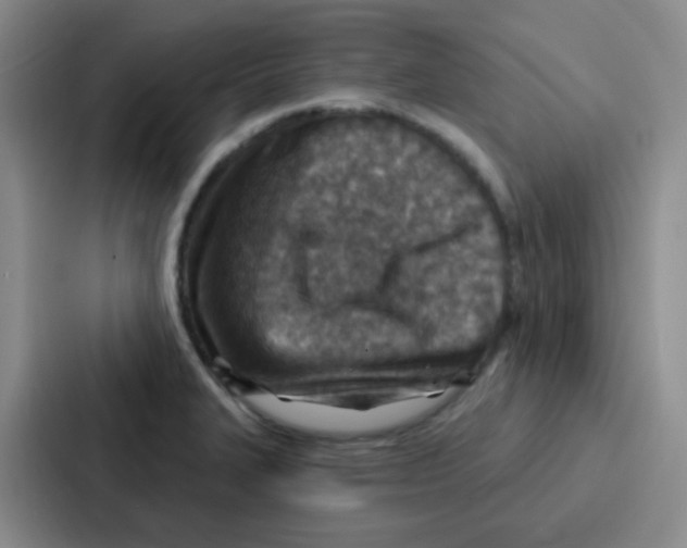 X0000086931327200705141734