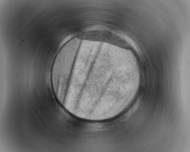 X0000086931329200705141734