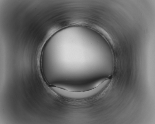 X0000086931330200705141734