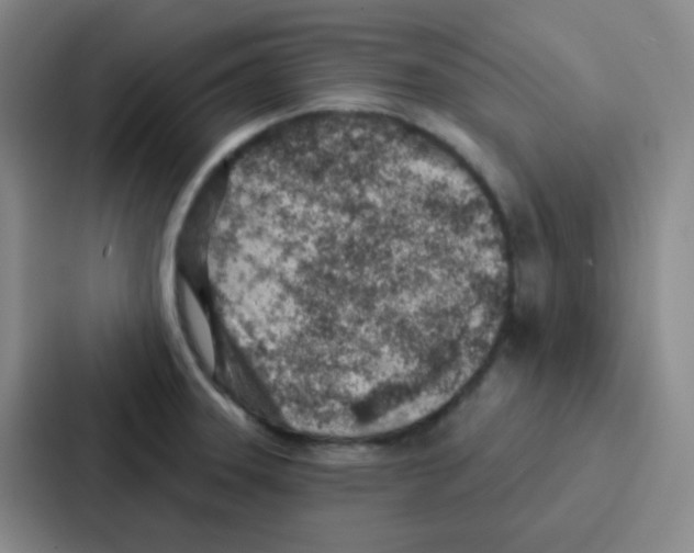 X0000086931331200705141734