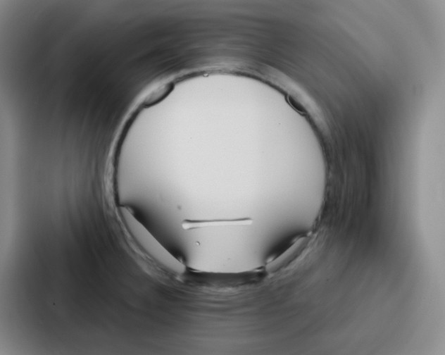 X0000086931332200705141734