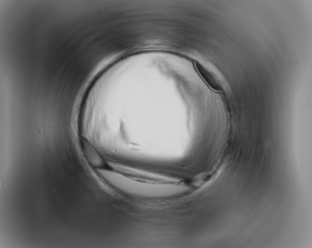 X0000086931333200705141734