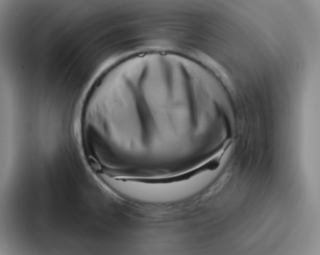 X0000086931334200705141734