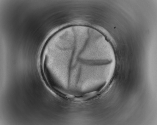 X0000086931335200705141735