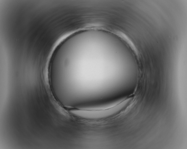 X0000086931336200705141735