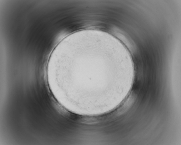 X0000086931338200705141735