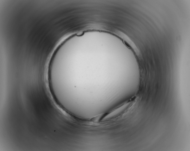 X0000086931339200705141735