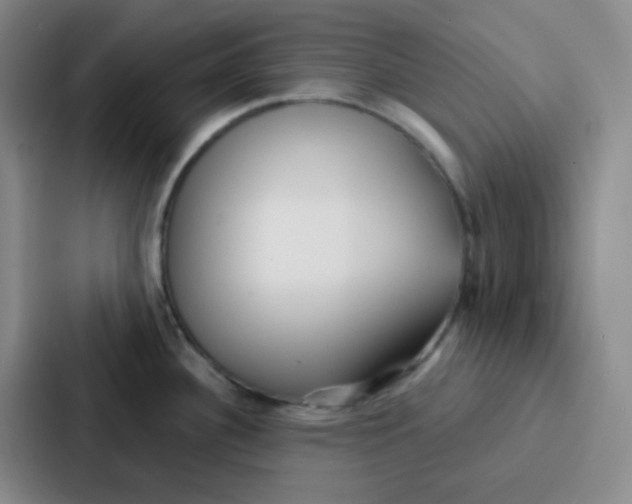 X0000086931340200705141735