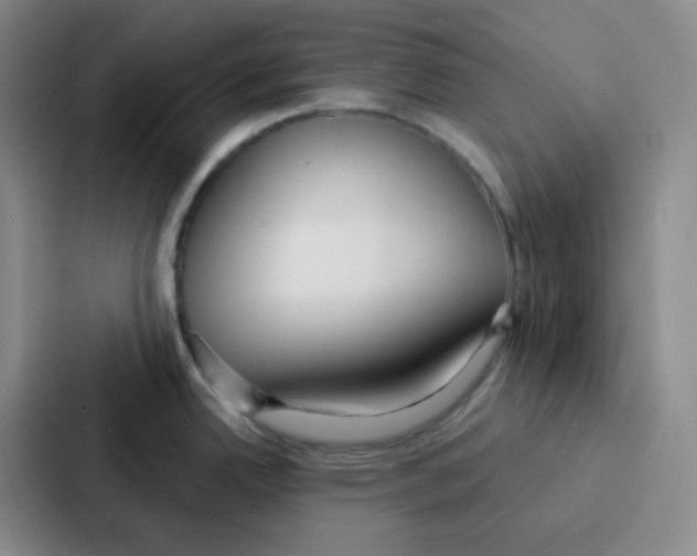 X0000086931342200705141735