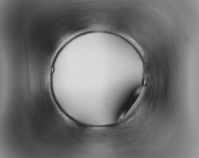 X0000086931343200705141735