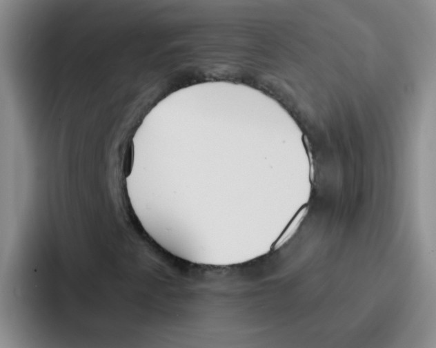 X0000086931345200705141734