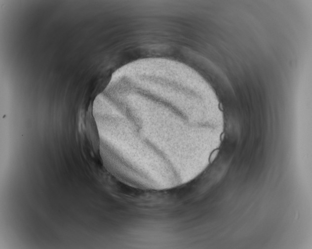 X0000086931346200705141734