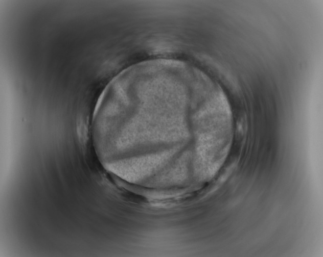 X0000086931348200705141734