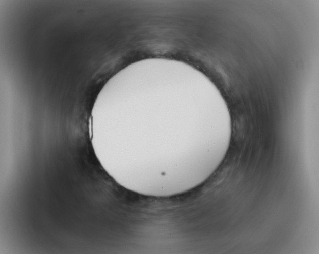 X0000086931349200705141734