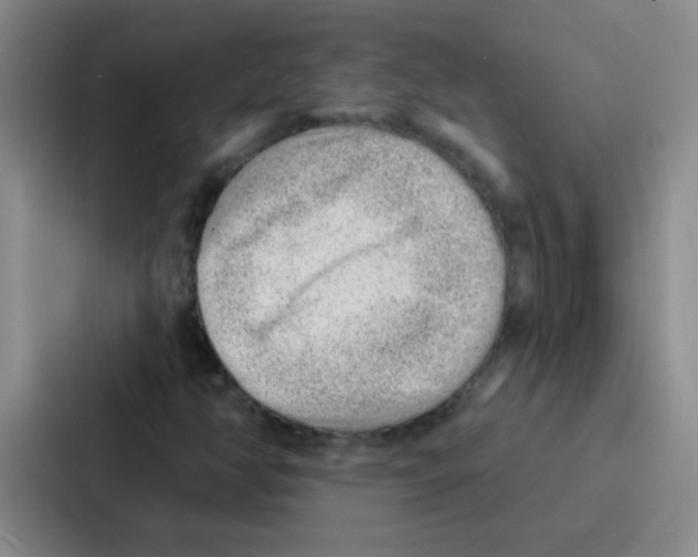 X0000086931350200705141734