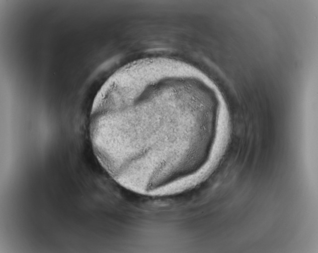 X0000086931351200705141734