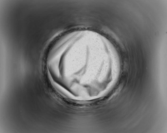 X0000086931352200705141734