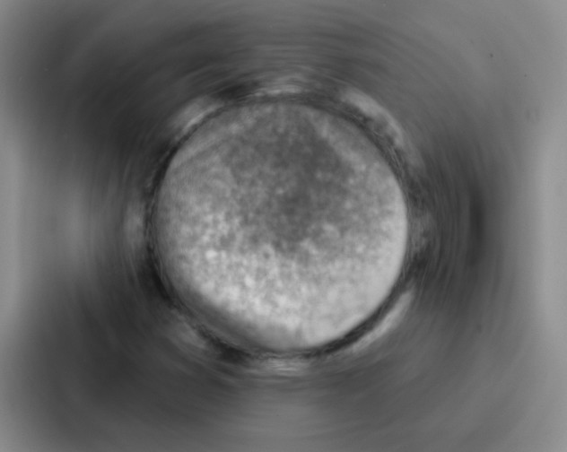 X0000086931353200705141734