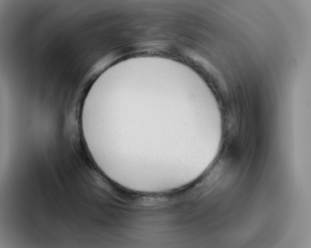 X0000086931354200705141734