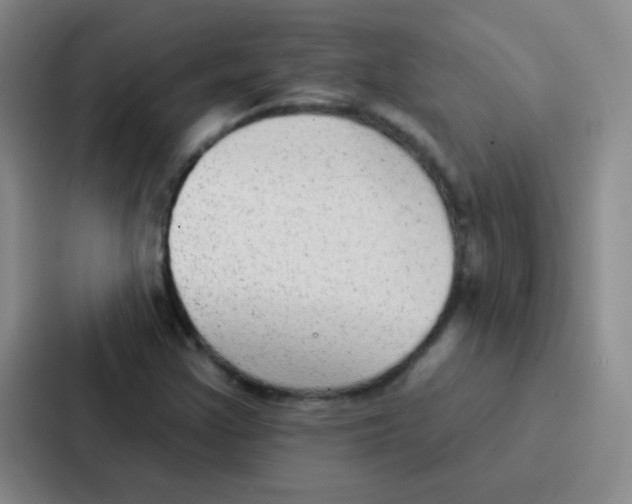 X0000086931355200705141734