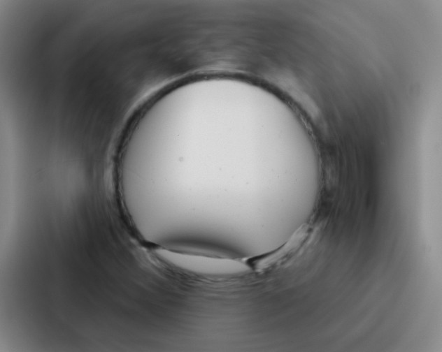 X0000086931356200705141734