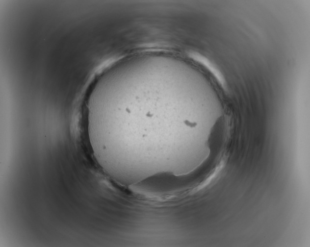 X0000086931357200705141734