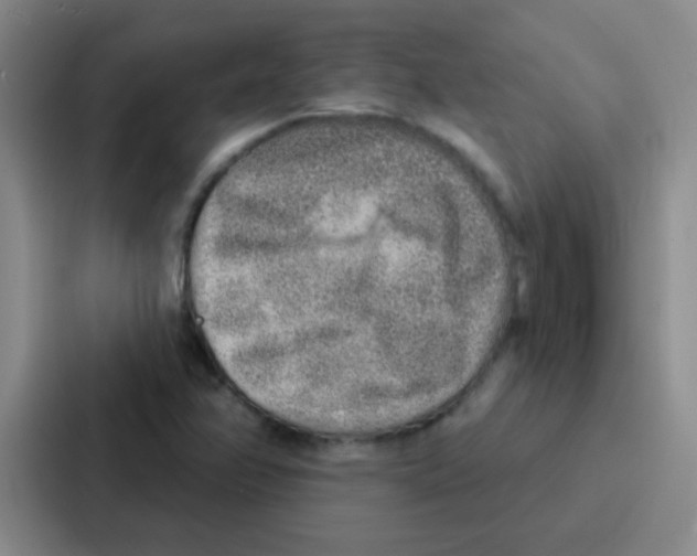 X0000086931358200705141734