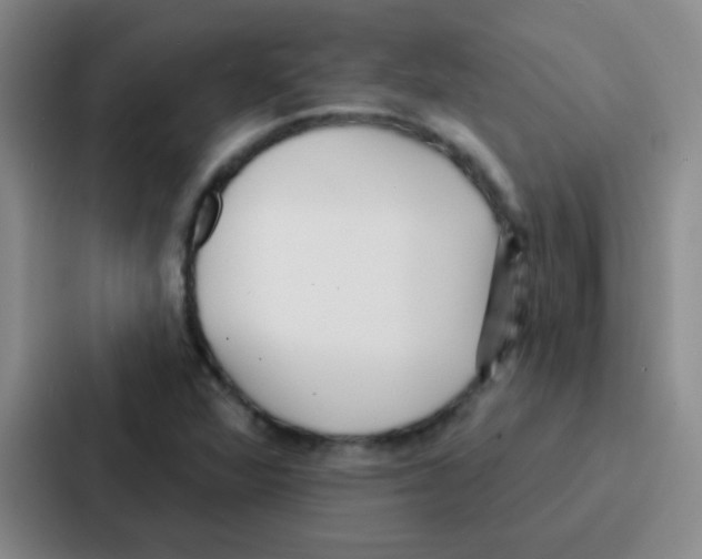 X0000086931360200705141734