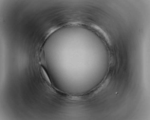 X0000086931361200705141734