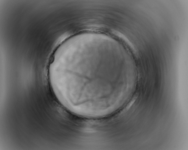 X0000086931362200705141734