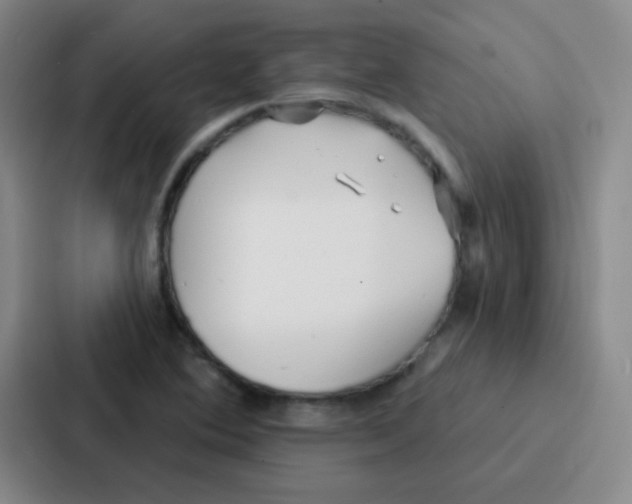 X0000086931364200705141734