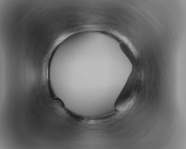 X0000086931365200705141734