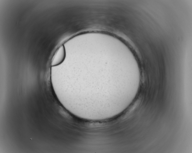 X0000086931366200705141734