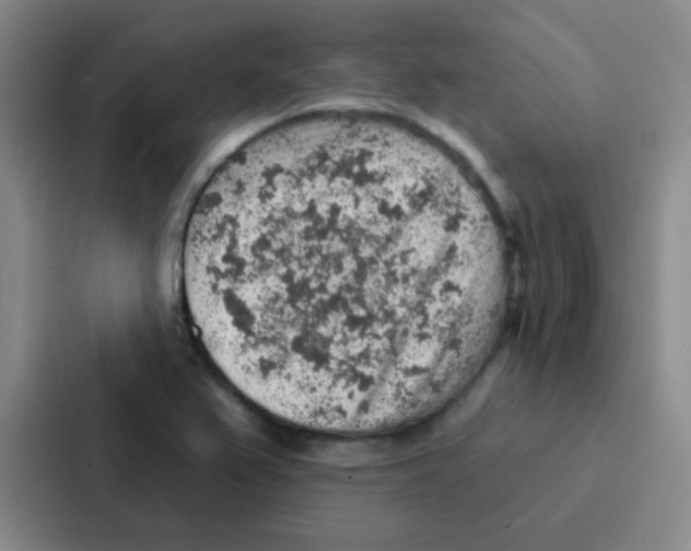 X0000086931367200705141734