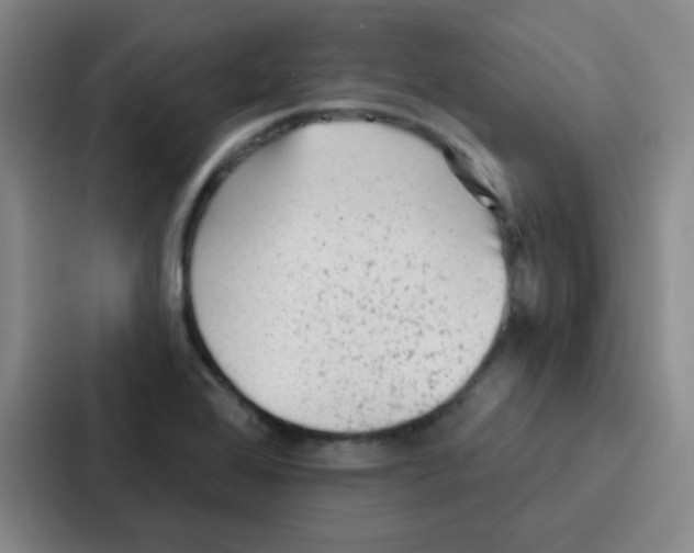 X0000086931368200705141734