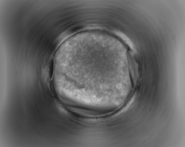 X0000086931369200705141734