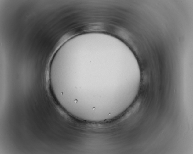 X0000086931370200705141734