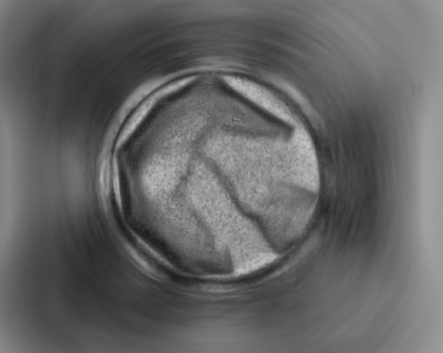 X0000086931371200705141734