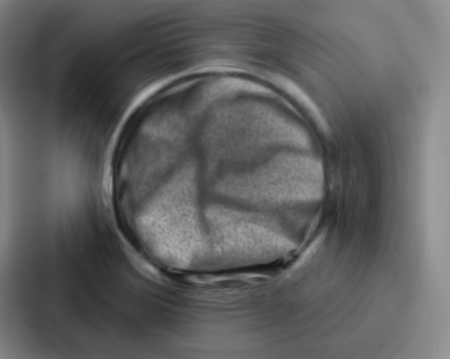 X0000086931372200705141734