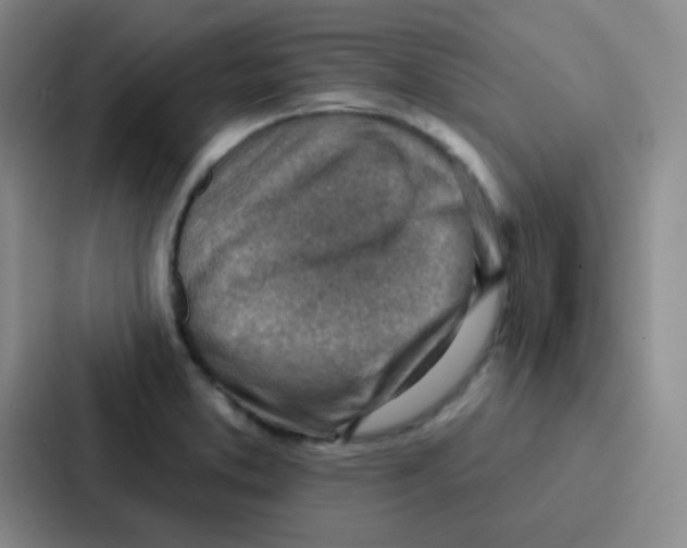 X0000086931373200705141734