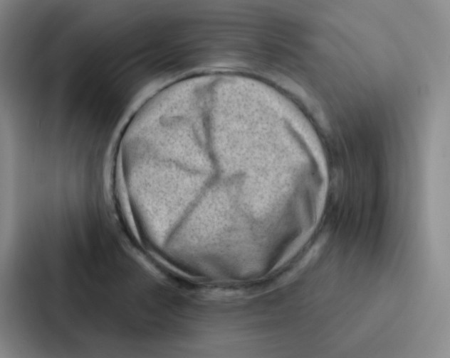 X0000086931374200705141734