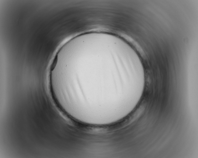 X0000086931375200705141734