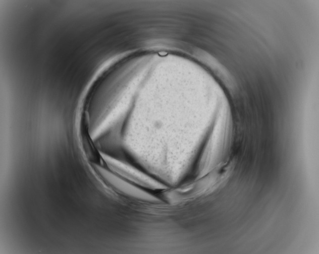 X0000086931376200705141734