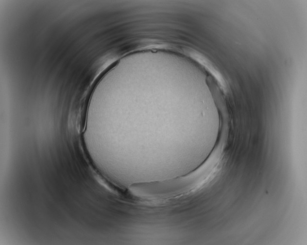 X0000086931377200705141734