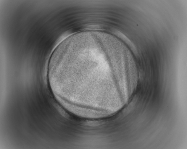 X0000086931378200705141734