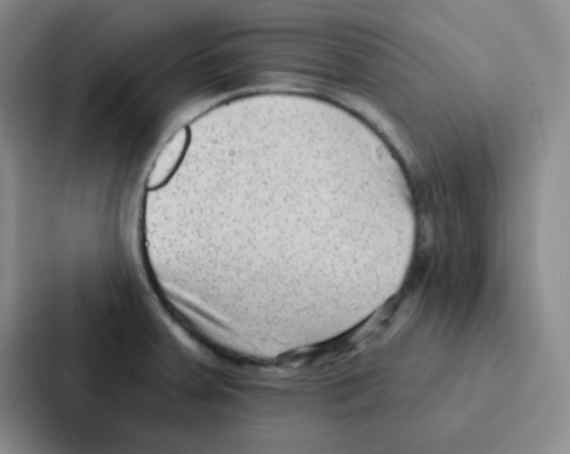 X0000086931379200705141734