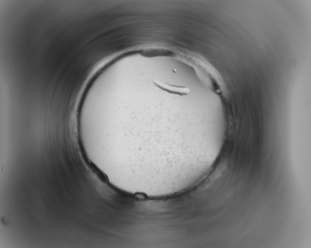 X0000086931380200705141734